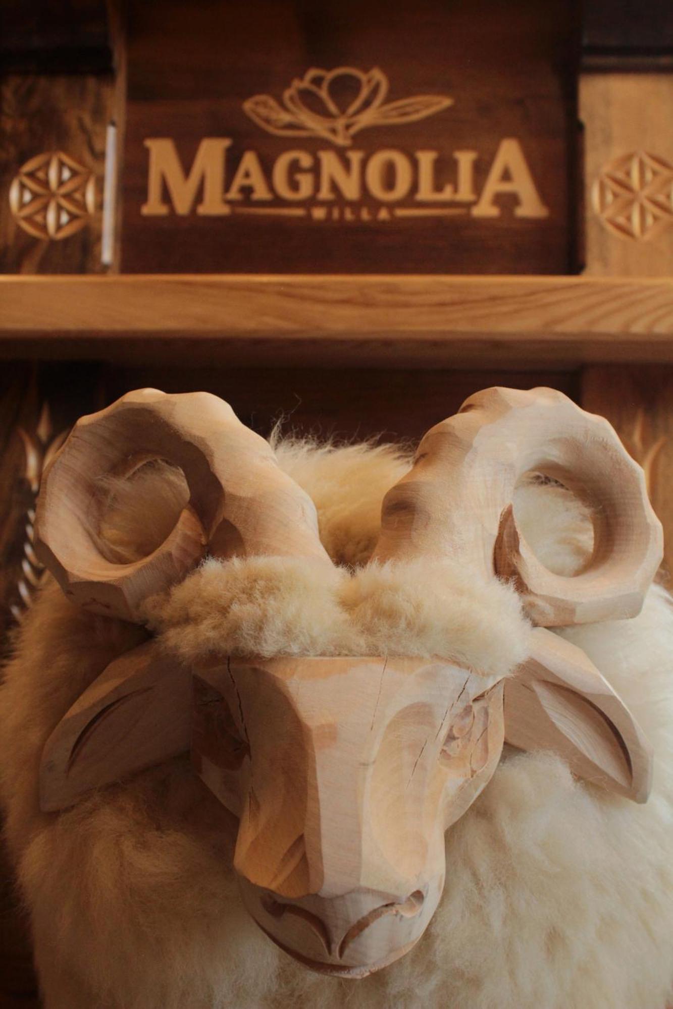 Magnolia Homestay Zakopane